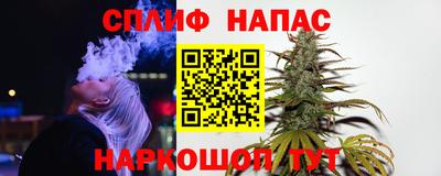 дживик Камышлов